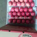 /msite/products/detail/productid/54855549/id/542998.html